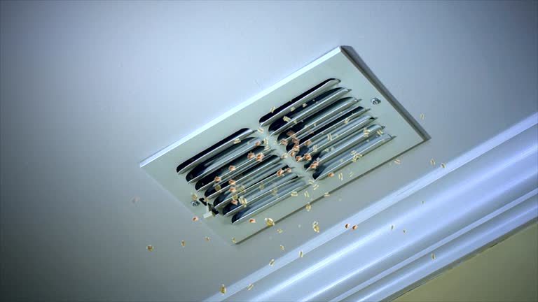 Best Affordable Air Duct Cleaning  in Mahomet, IL